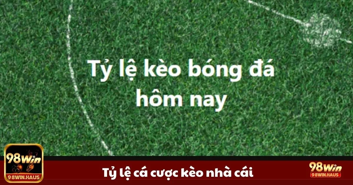 Cách đọc đúng tỷ lệ cá cược kèo nhà cái